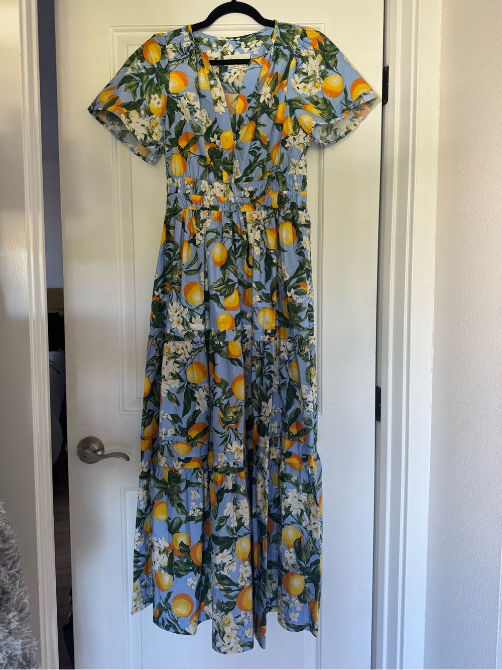 Anthropologie Somerset Dress Blue Lemon Print Maxi Dress - Picture 1 of 4